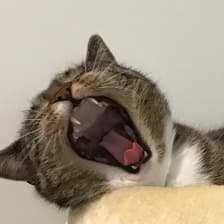 Profile picture for Dan's Test Account