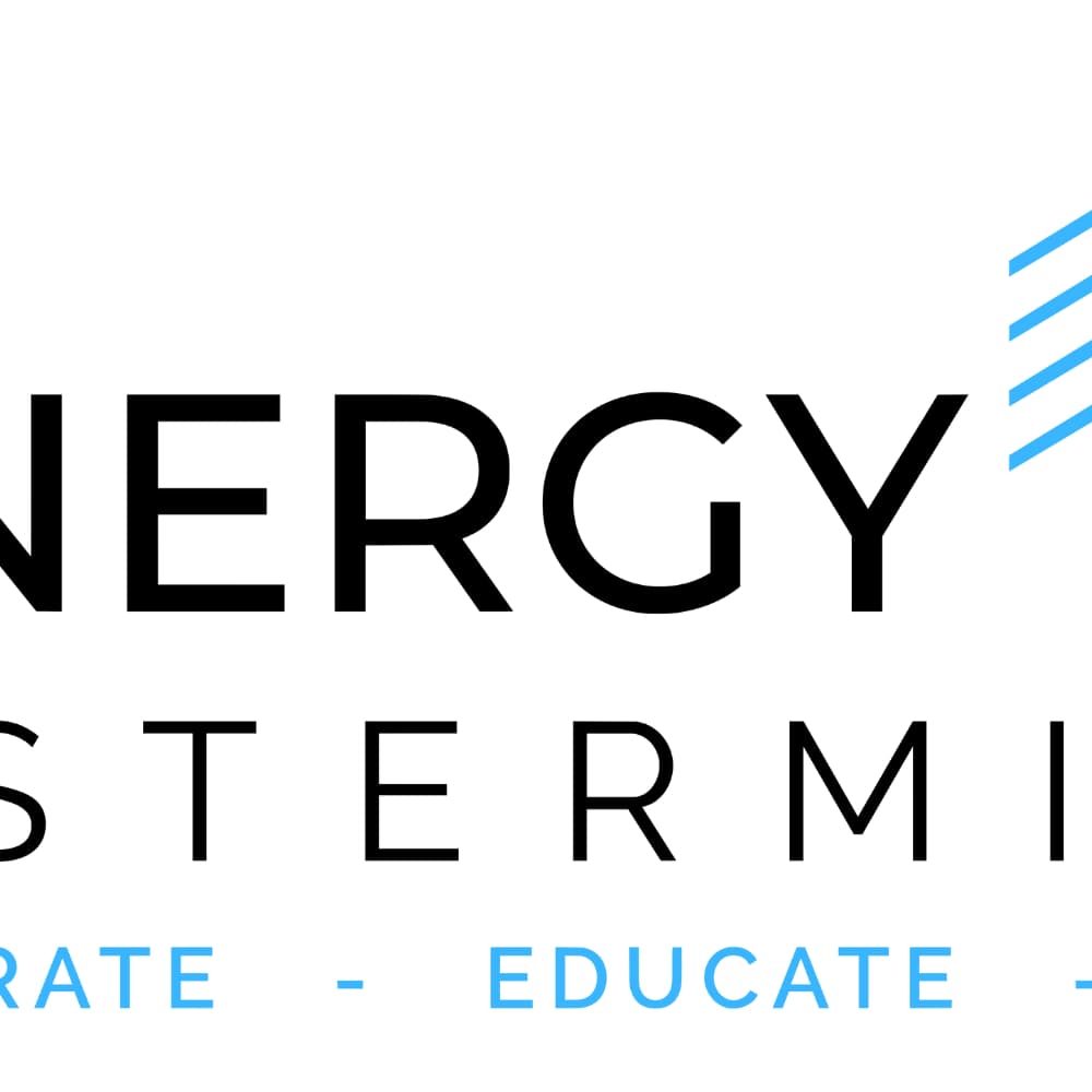 Synergy Mastermind Information Night · Zoom · Luma