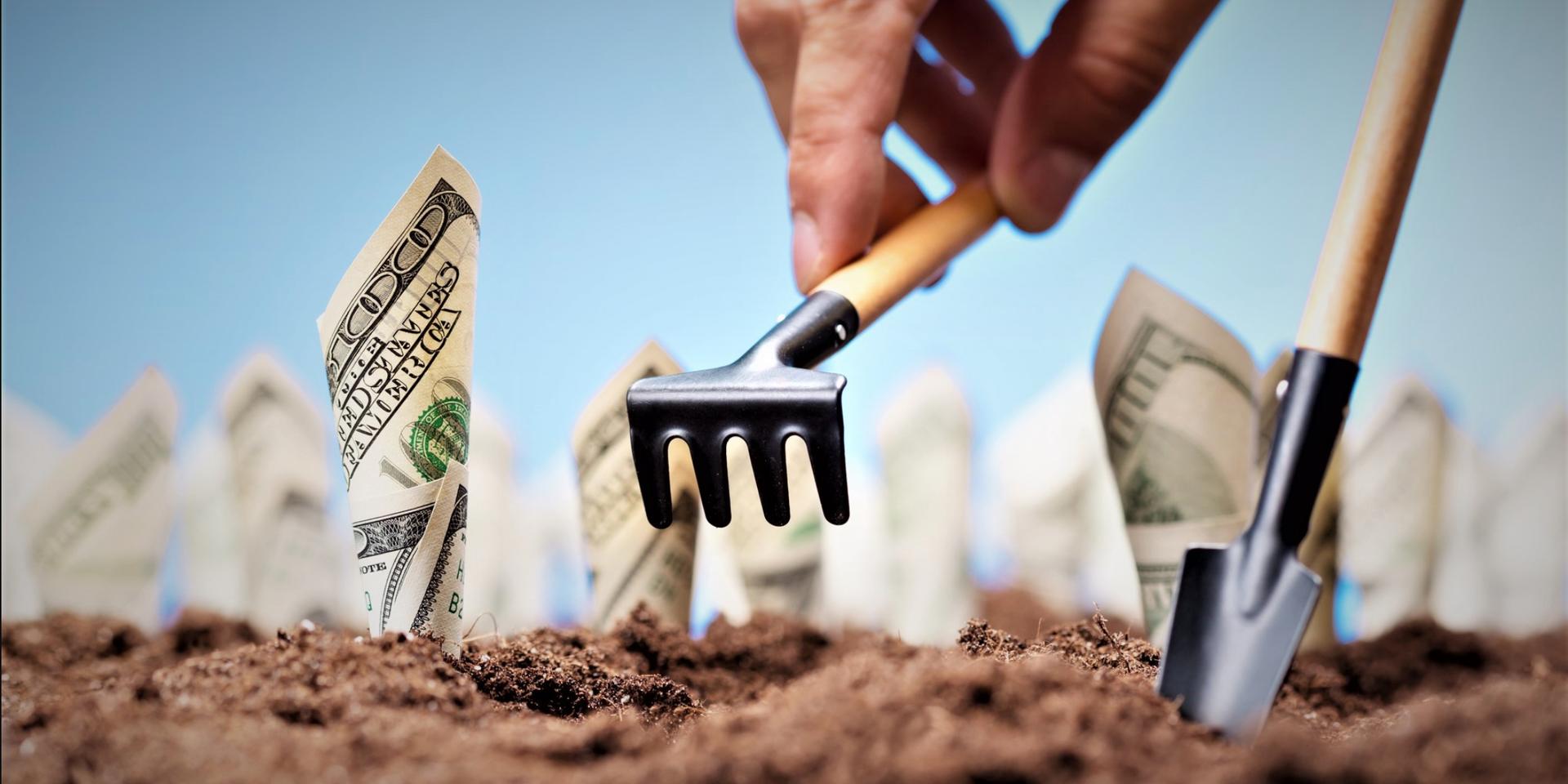 Cover Image for Yield Farming Bootcamp