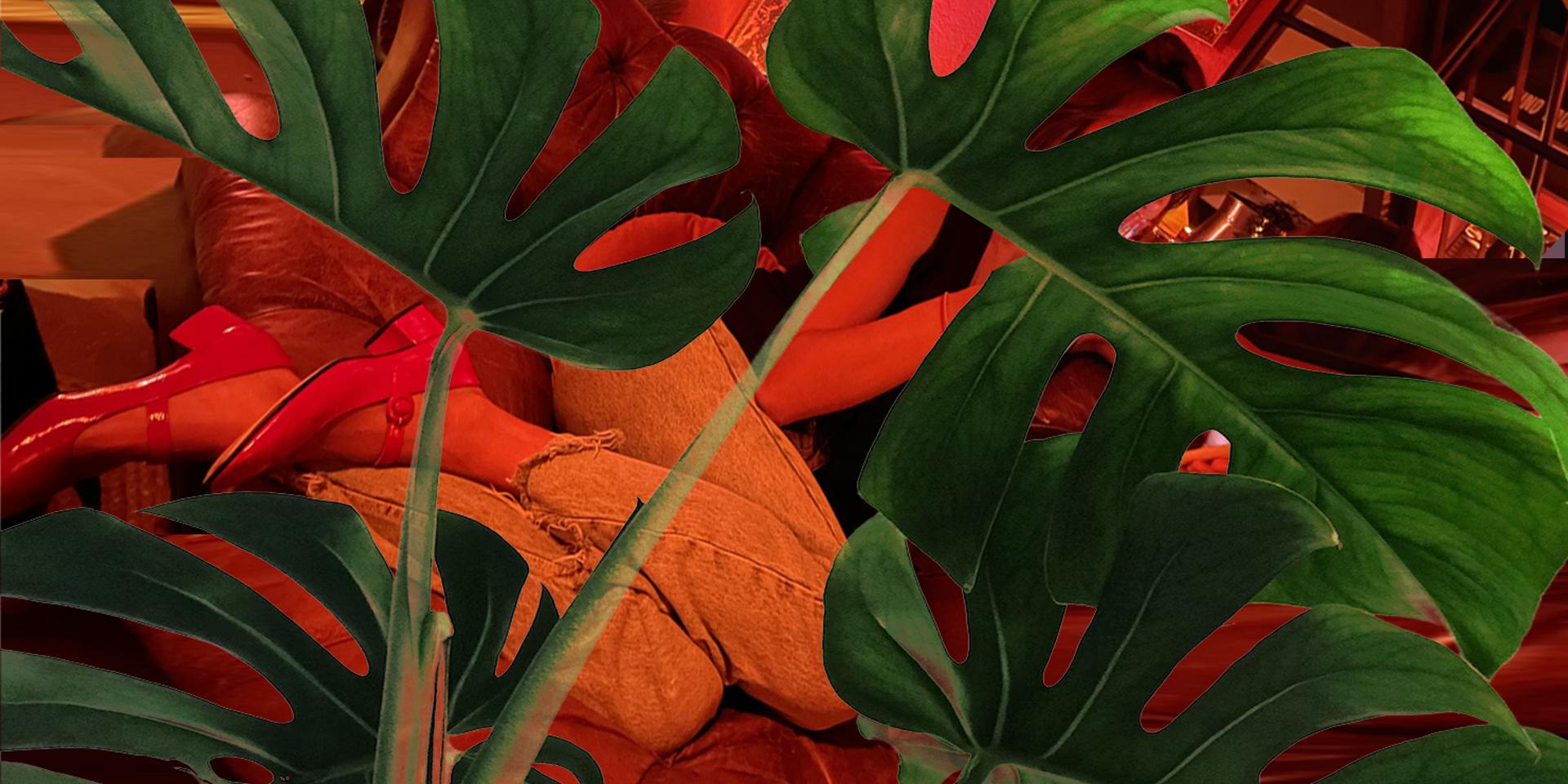 Cover Image for Timeleft Tropical Speak Easy 🌴 