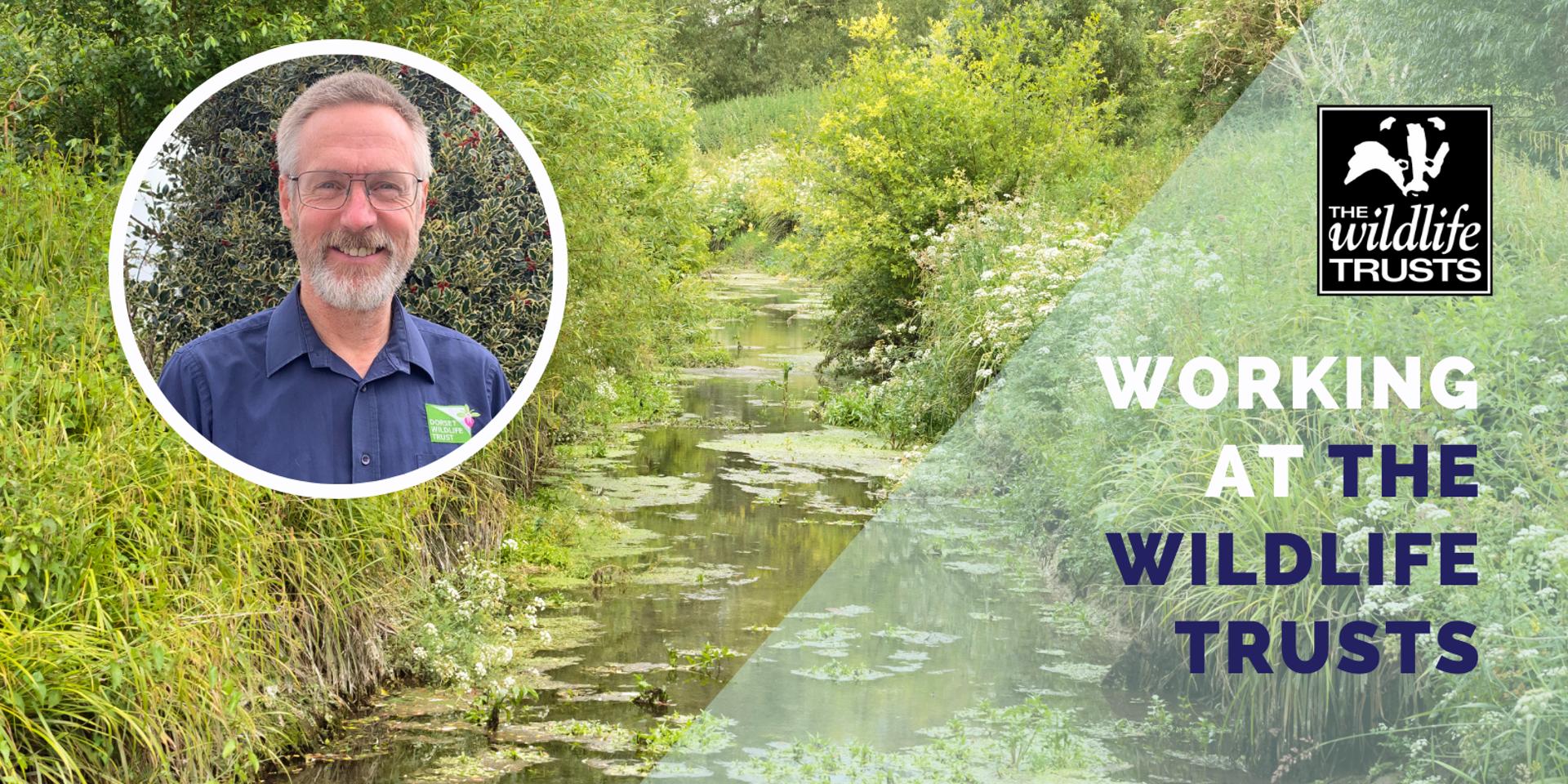 Cover Image for Working at the Wildlife Trusts