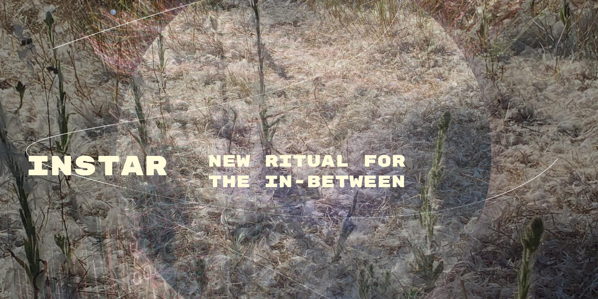 Cover Image for instar: new ritual for the in-between