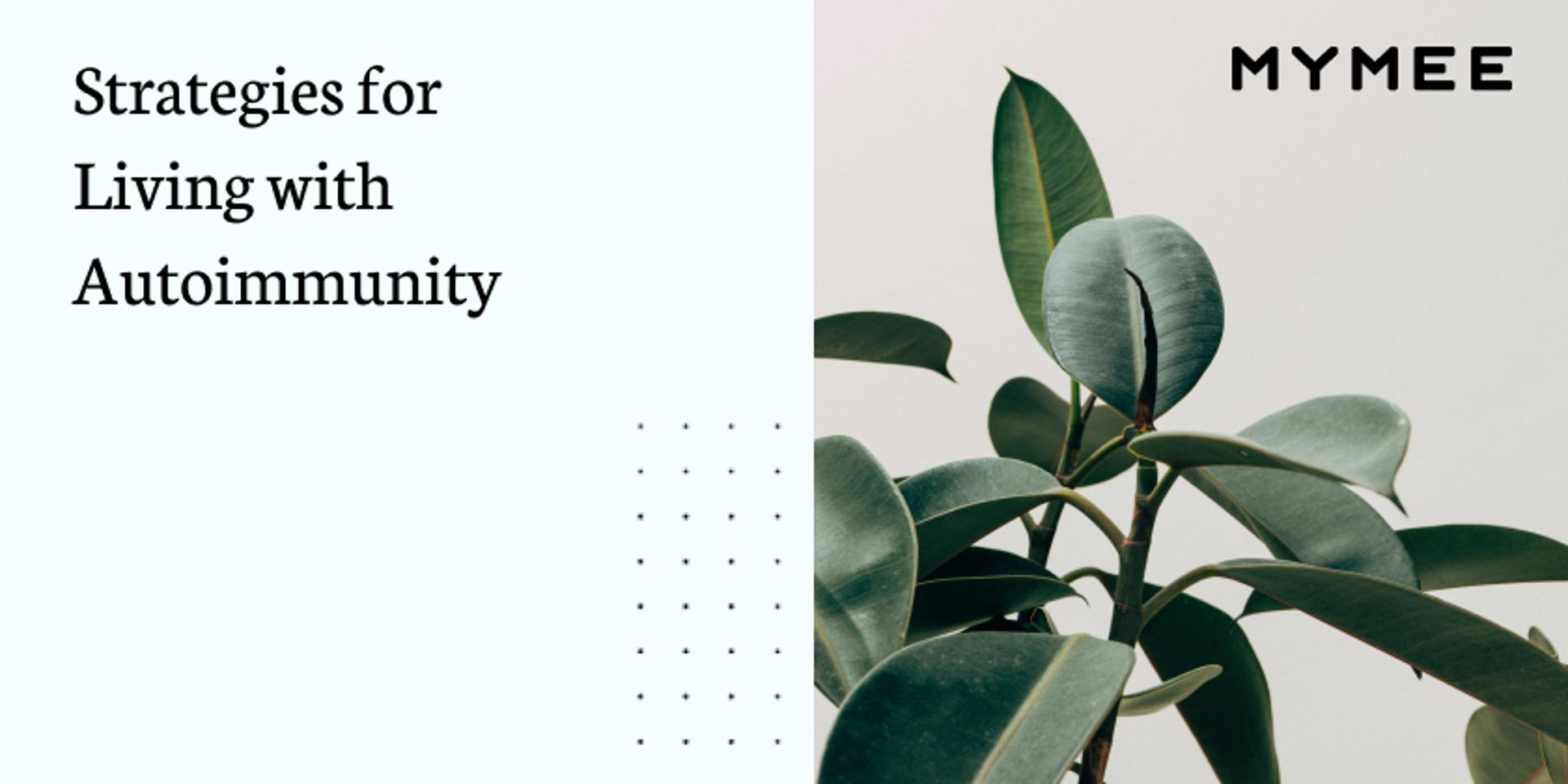 Cover Image for Strategies for Living with Autoimmunity by Mymee