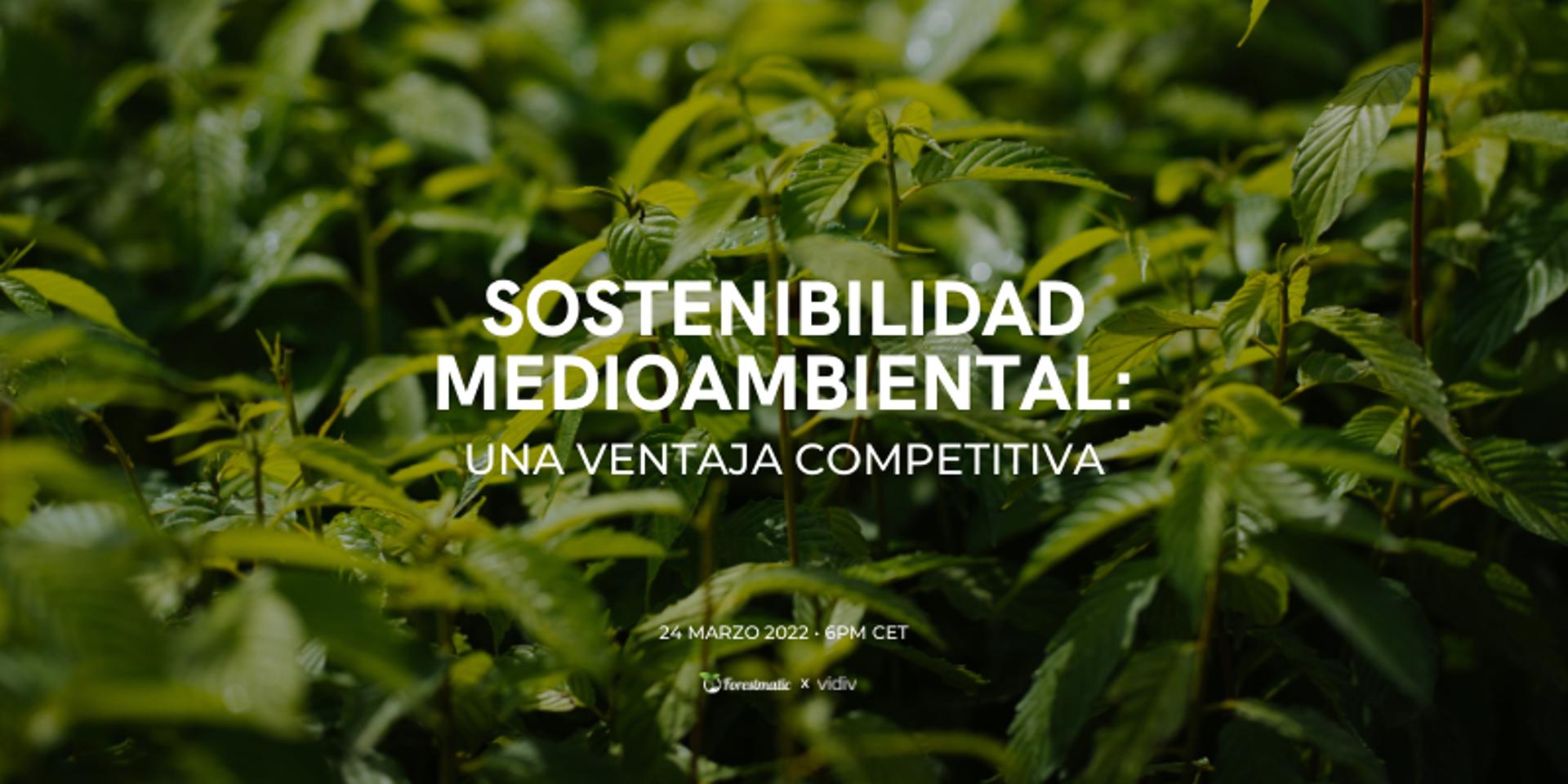Cover Image for Sostenibilidad medioambiental: una ventaja competitiva