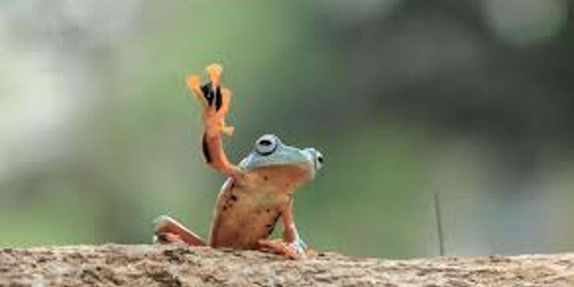 Cover Image for Meet and greet... again