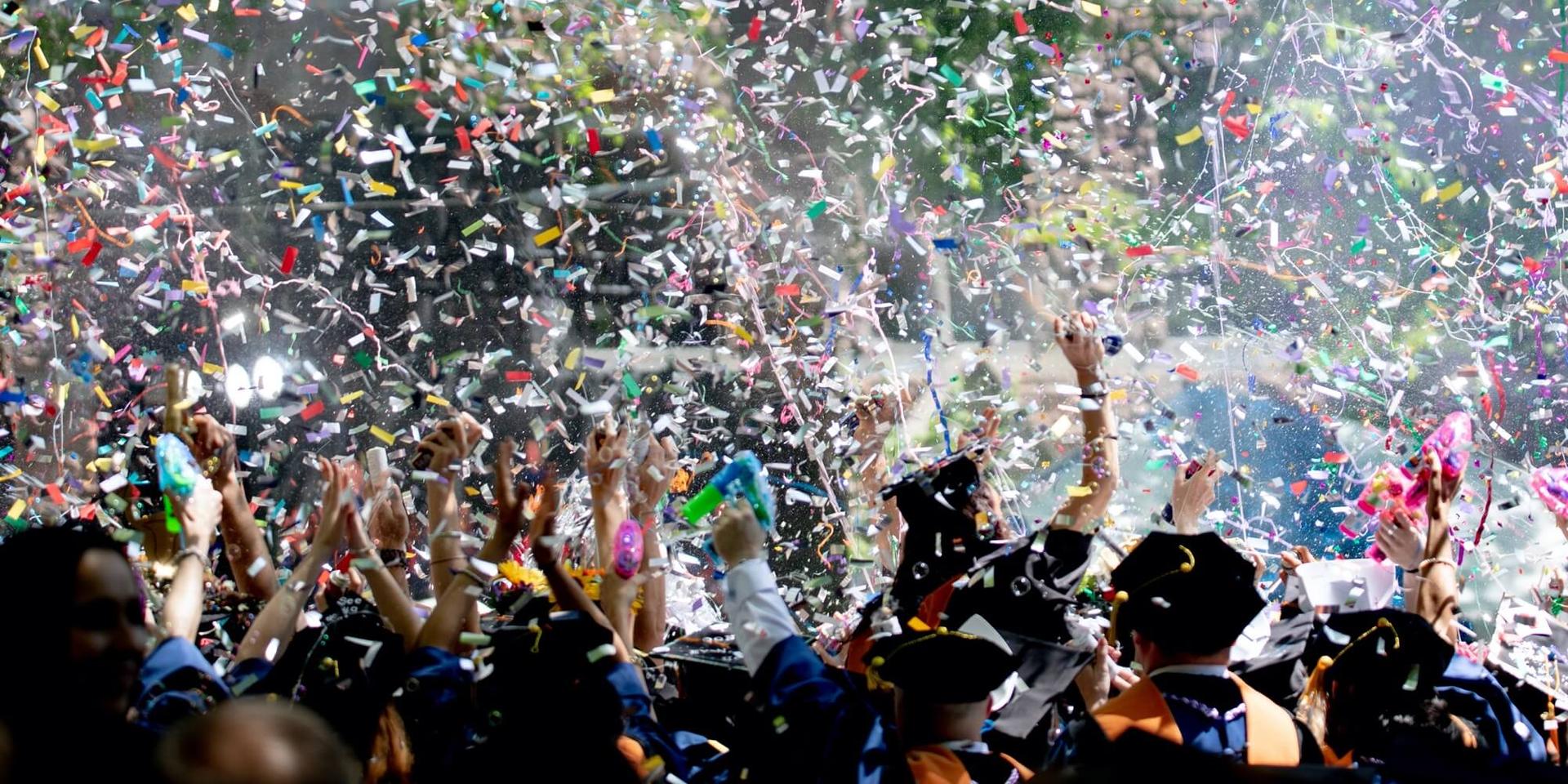 Cover Image for African Future Leaders Fellowship