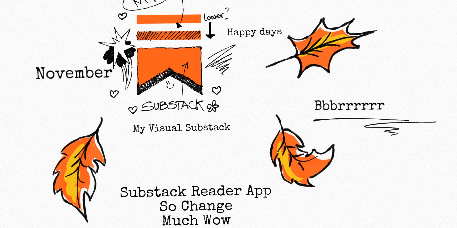 Cover Image for My Visual Substack November meetup 