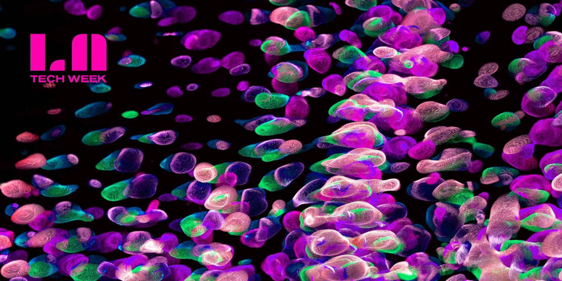 Cover Image for Psychedelics x Tech: How To Change Your Mind 