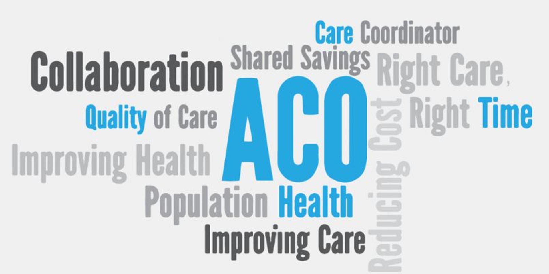 Cover Image for NWGC Summer Virtual Education Series: 
ACOs (Accountable Care Organizations) - A Journey to Value in Health Care.