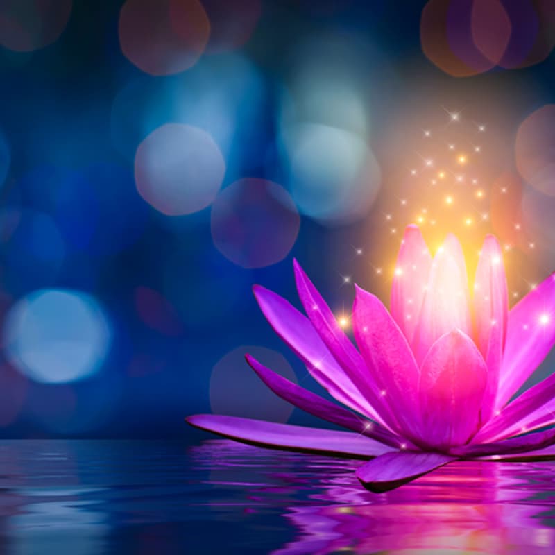 Cover Image for Meditation 101, Week 2 [public]