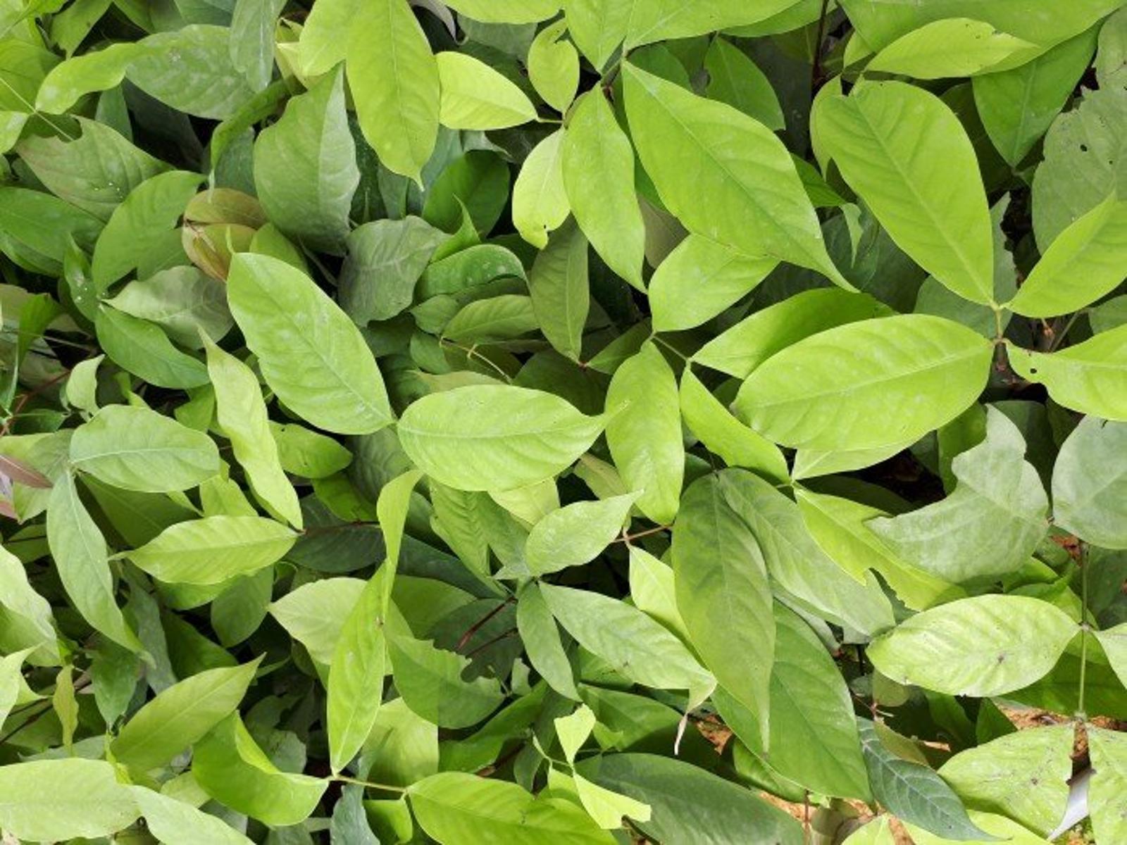 Ảnh người dùng tải lên