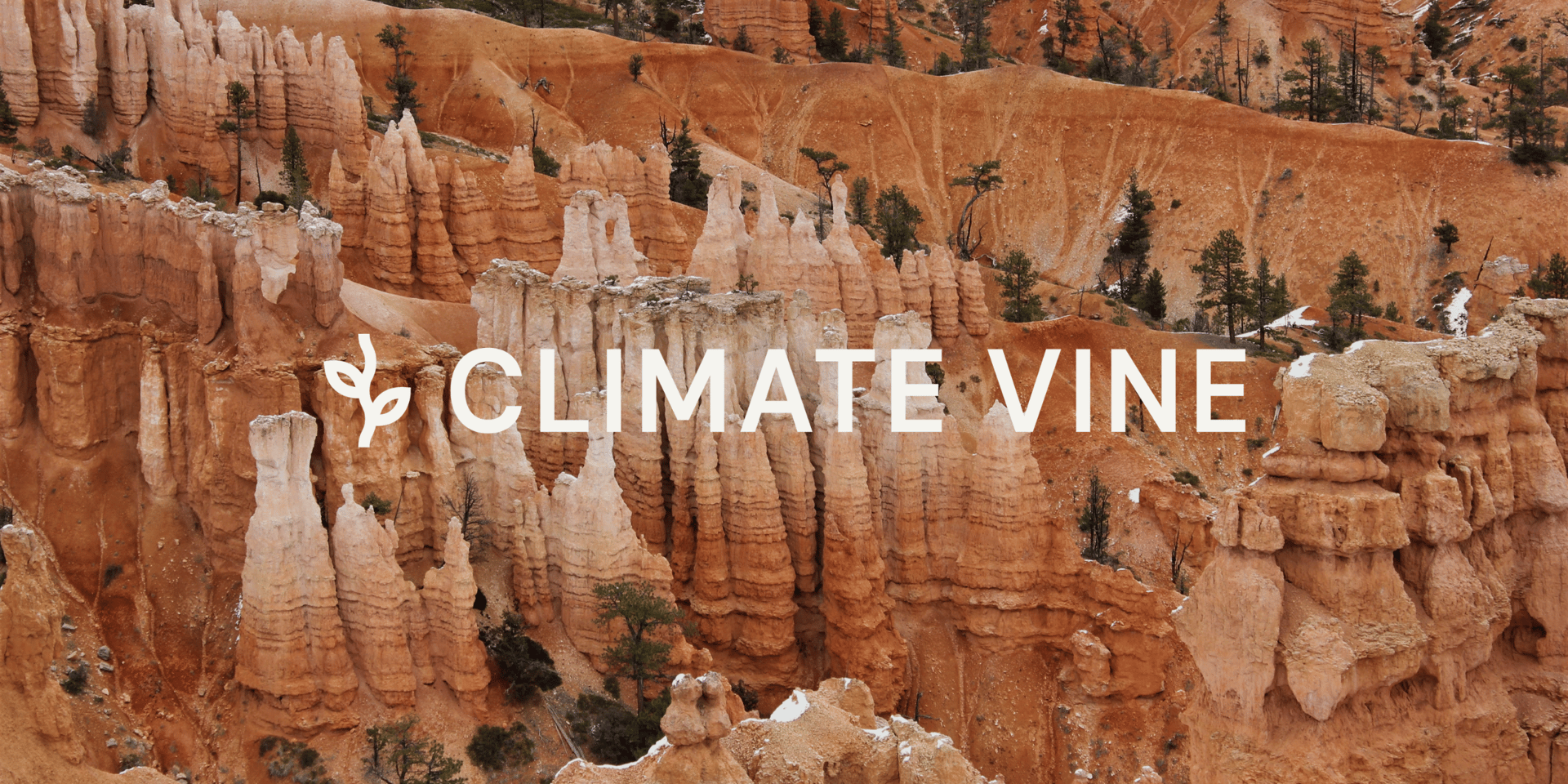 Cover Image for Climate Vine Cohort 1 Q&A