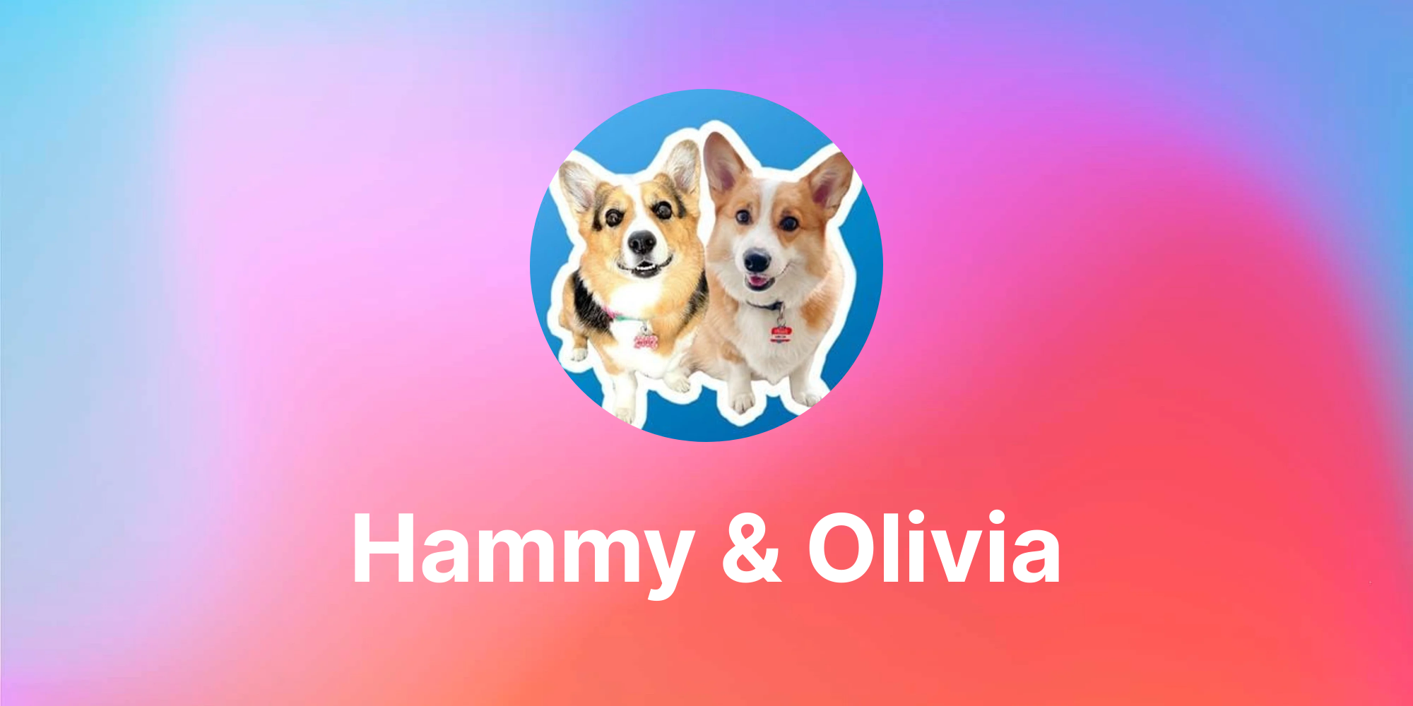 And tok hammy olivia tik Hammy And And tok hammy olivia tik Talking Corgis
